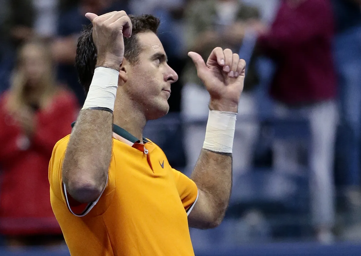 Huans Martins del Potro