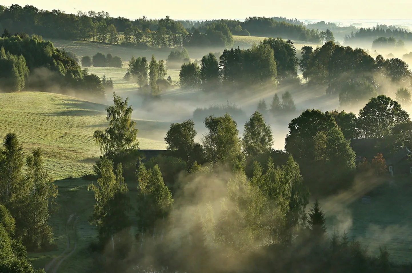 Raksta foto