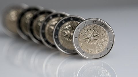 Банк Эстонии выпустит в обращение монету, посвященную национальному цветку