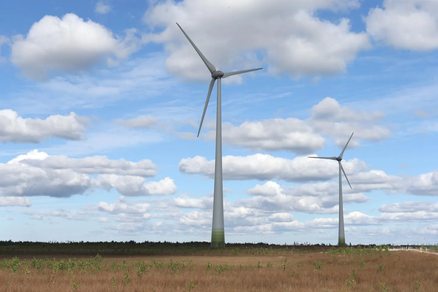 Eesti Energia 17 tuulikuga tuulepark Narva põlevkivijaamade tuhaväljal. 
