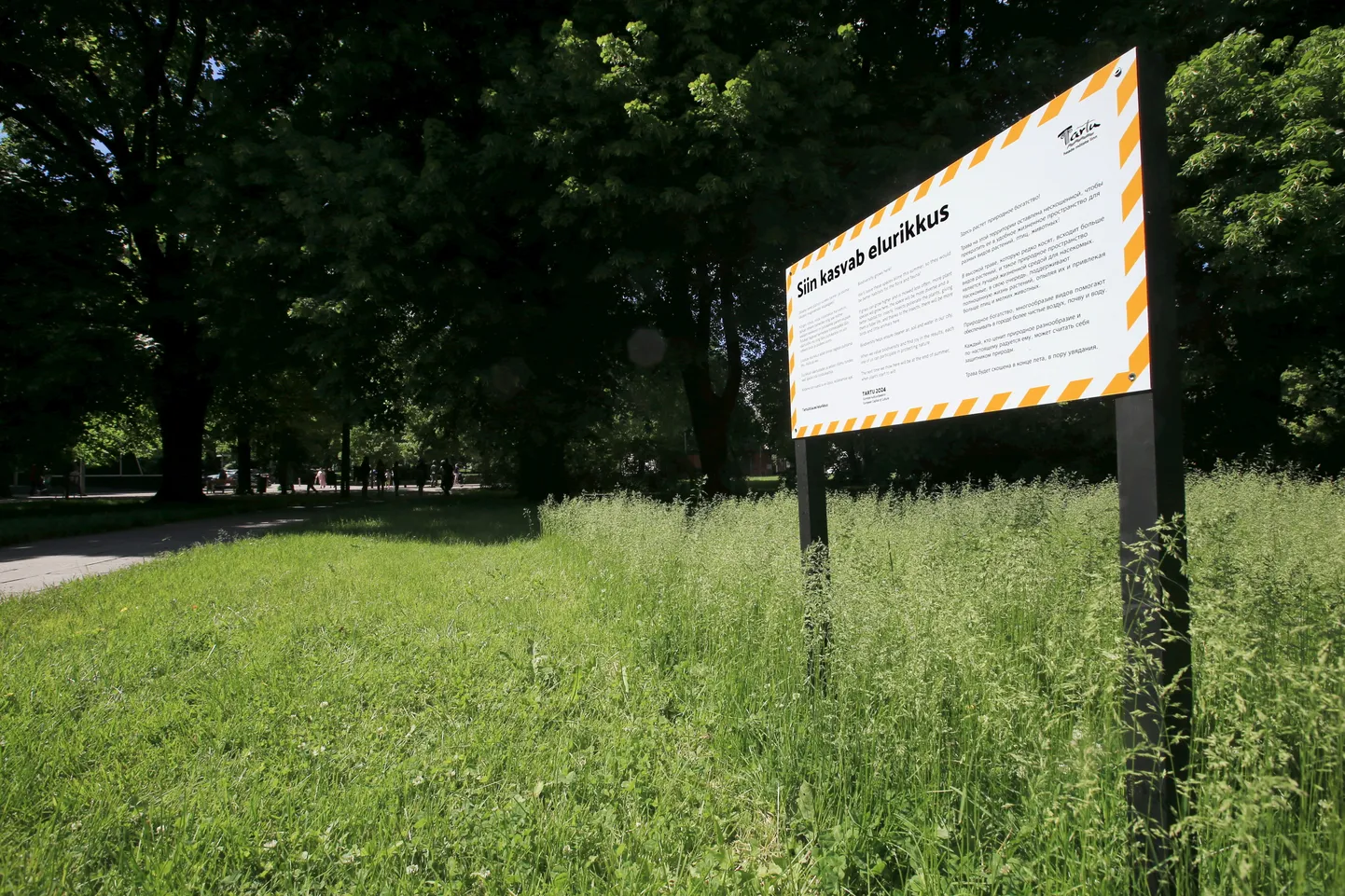 Sel aastal jätab linn liigirikkuse tõstmiseks paljud haljasalad niitmata.
Pildil sellest teavitav tahvel kesklinna pargis.