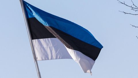 В воскресенье сине-черно-белые флаги будут развеваться в честь бабушек и дедушек