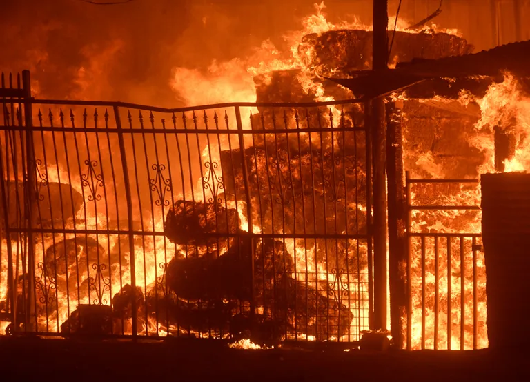 California maastikupõlengus on elu kaotanud kümneid hobuseid