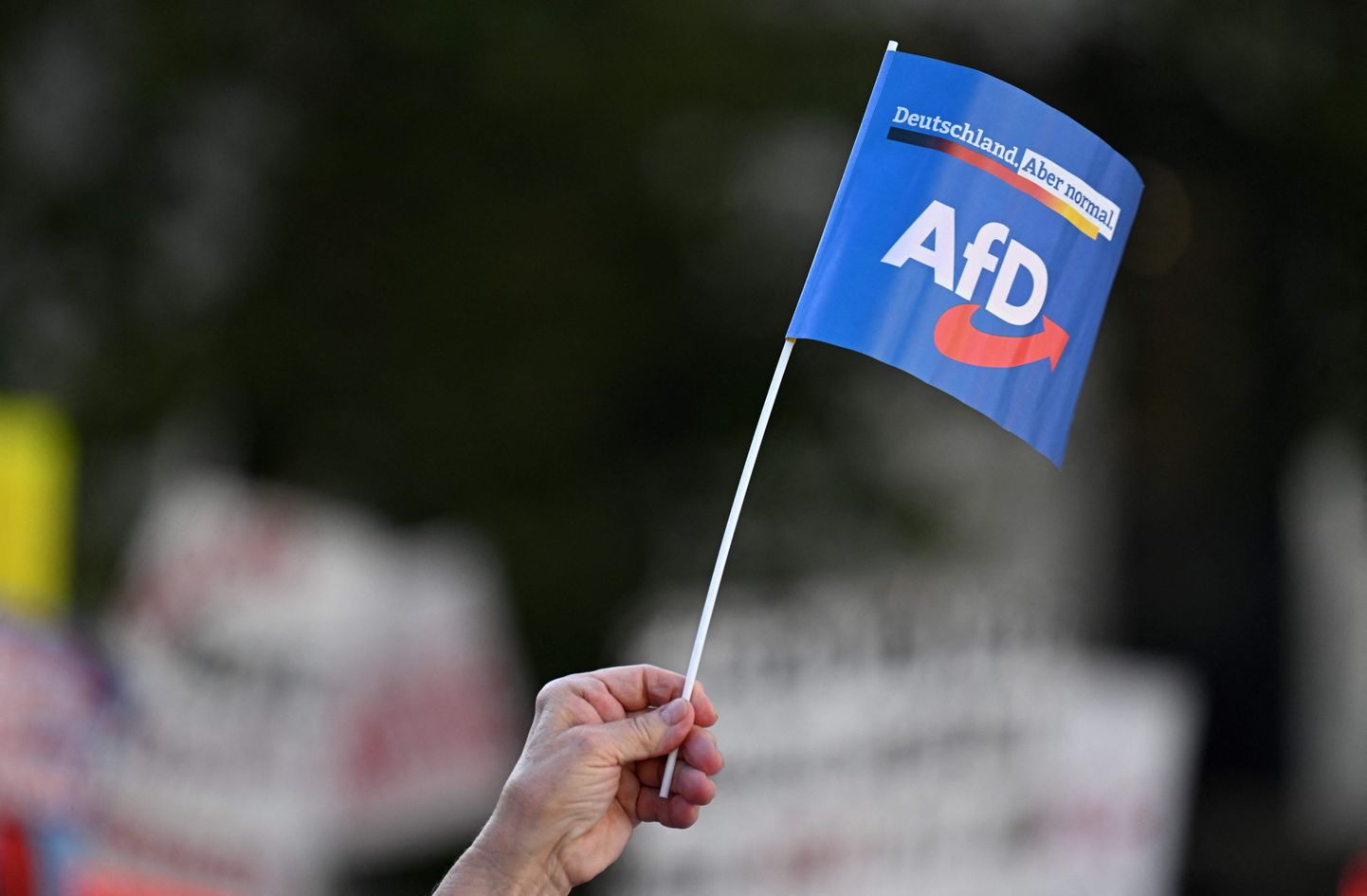 Paremäärmusliku erakonna Alternatiiv Saksamaale (AfD) lipp rahvakogunemisel Münchenis enne Baieri liidumaa valimisi oktoobri alguses.