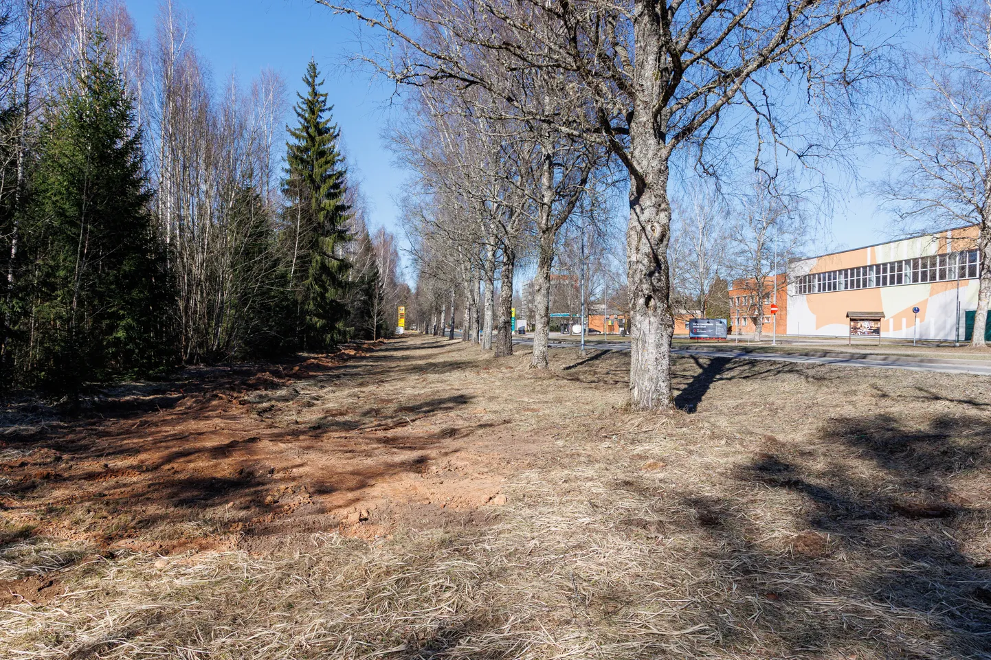Lennukipomm leiti Tõrva linna alguses, Valga-Uulu maantee ääres.