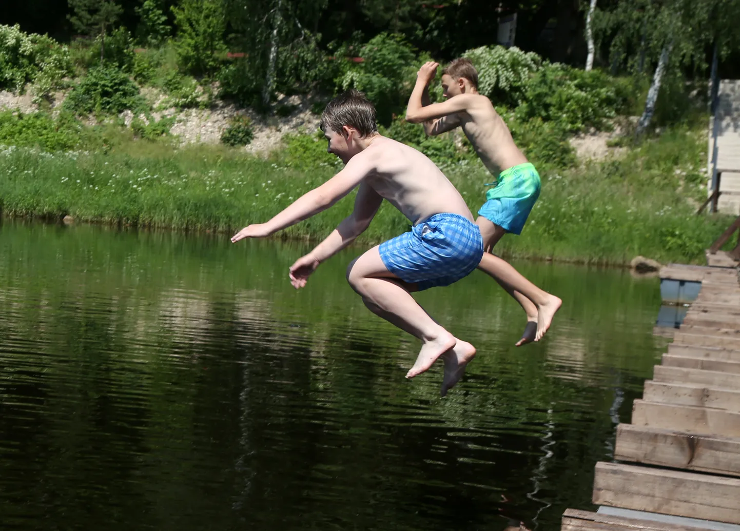 Raksta foto