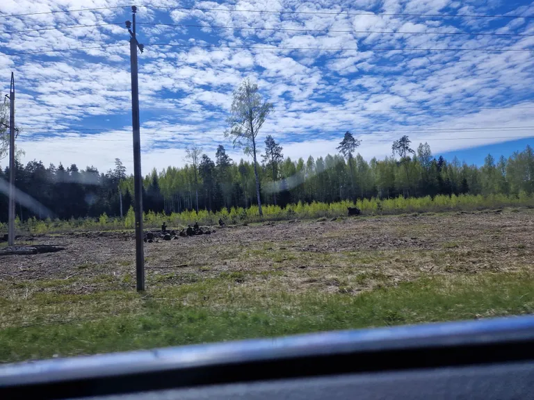 Juba enne suuremate õppelahingute algust võis Kilingi-Nõmme kandis tee servas näha hulgaliselt kaitseväe vormides inimesi ja ka kaevikuid.