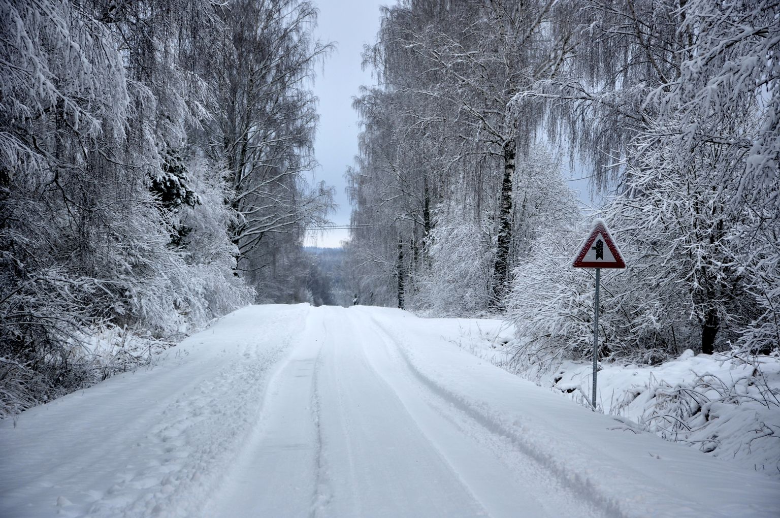 Piesnidzis lauku ceļš ziemā Latgalē.