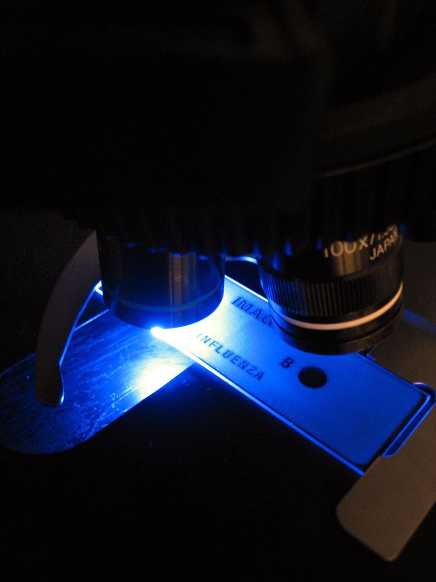 Gripiviirus tuvastatakse laboris võimsa mikroskoobi abil.