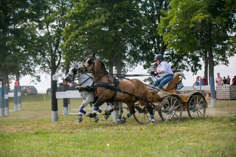 Pille-Riin Roosileht ponide paariga (Vezer & Abbeyfield The Gladiator).