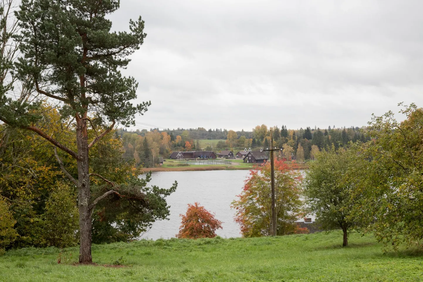 Oma maja männituka servas terviseraja ääres ja vaatega Viljandi järvele – see unistus saab peatselt käega katsutavaks neile, kes on valmis osalema Järveotsa elamukvartali kruntide oksjonil.