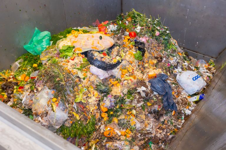 Помимо пластиковых и биоразлагаемых пакетов для мусора, необходимо убрать осколки стекла, камни, кости и яичную скорлупу.
