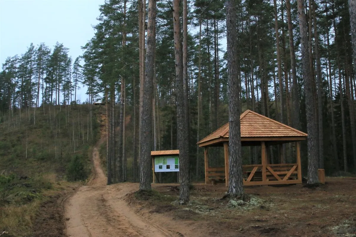 Zvirgzdes baltā kāpa.