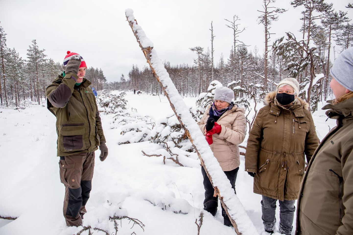 RMK looduskaitse­spetsialisti Priit Voolaiu (vasakul) selja taga lookleb Eesti pikim, 560 meetrit pikk pais. Turbast paisu hari on kaetud okstega, et metsloomad, iseäranis põdrad, seda katki ei trambiks.
