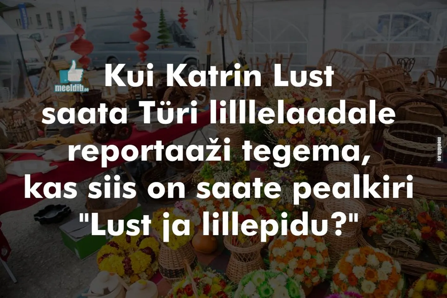 Artikli foto