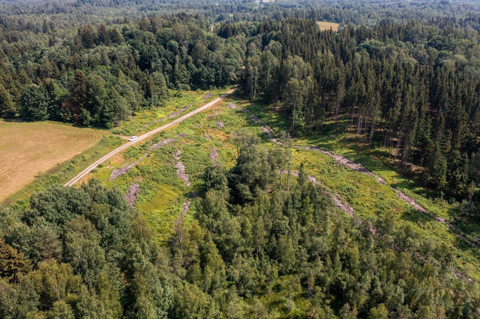RMK clearcutting also impacted Natura 2000 protected habitats in the Otepää Nature Park.