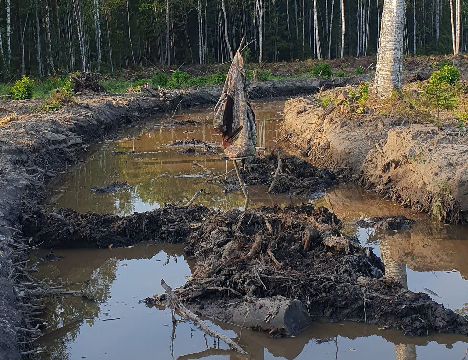 Metsamajandamise käigus tekkis Alutaguse kanti kole mudajõgi.