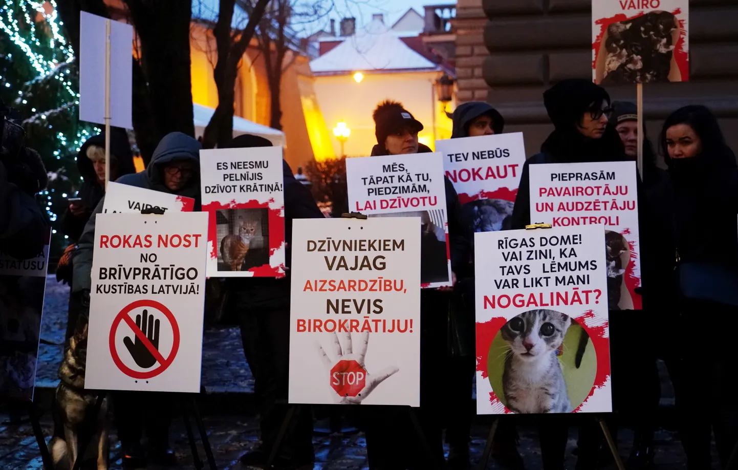 Pie Saeimas ēkas notiek Dzīvnieku aizsardzības organizācijas rīkotais pikets, lai pievērstu uzmanību pārmērīgajiem dzīvnieku vairošanas apjomiem, kas noved pie dzīvnieku pamešanas vai nogalināšanas.