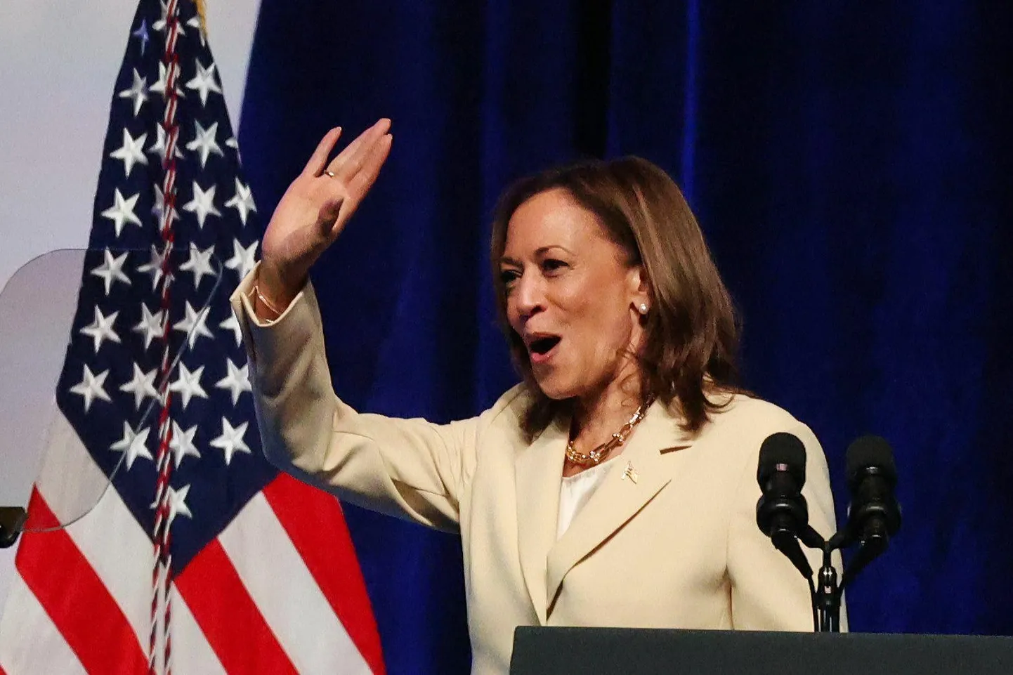 Kamala Harris üleeile Indianapolises mustanahaliste naistudengite korporatsiooni Zeta Phi Beta kogunemisel.