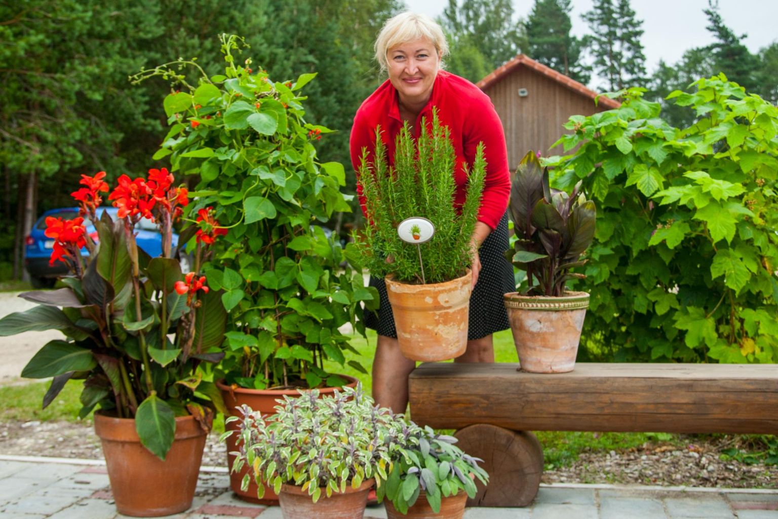 Tamme talu perenaise Heli Viedehofi sõnutsi on väikeaedades moes kasvatada ilusaid toidutaimi.