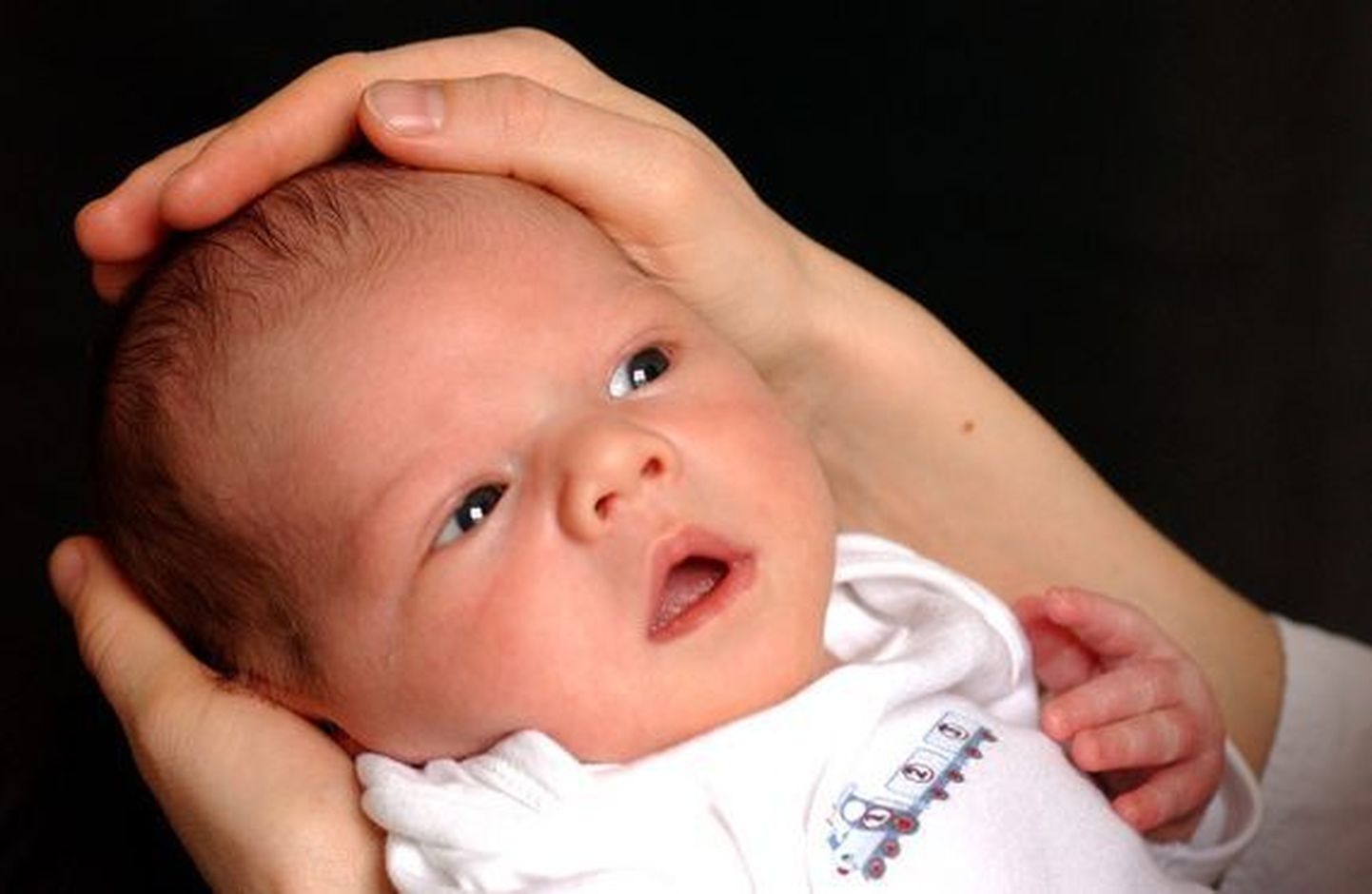 Spermadoonorist hollandlasel on 46 last