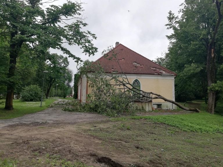 Дерево рухнуло на крышу музея.