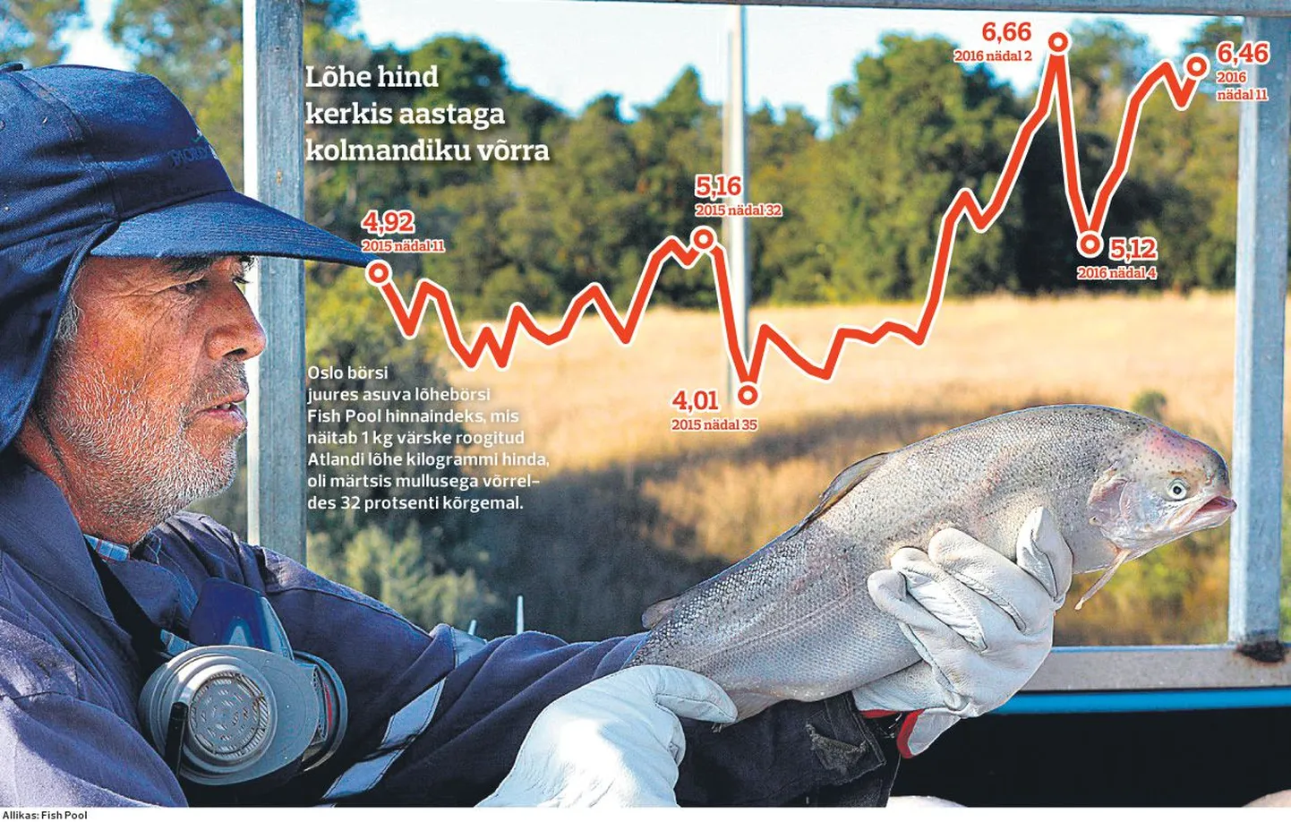 Article photo
