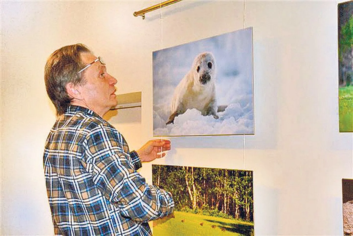 Indrek Ilomets (56) sättis oma fotod näituseks.