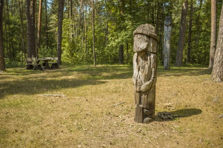 Фото статьи