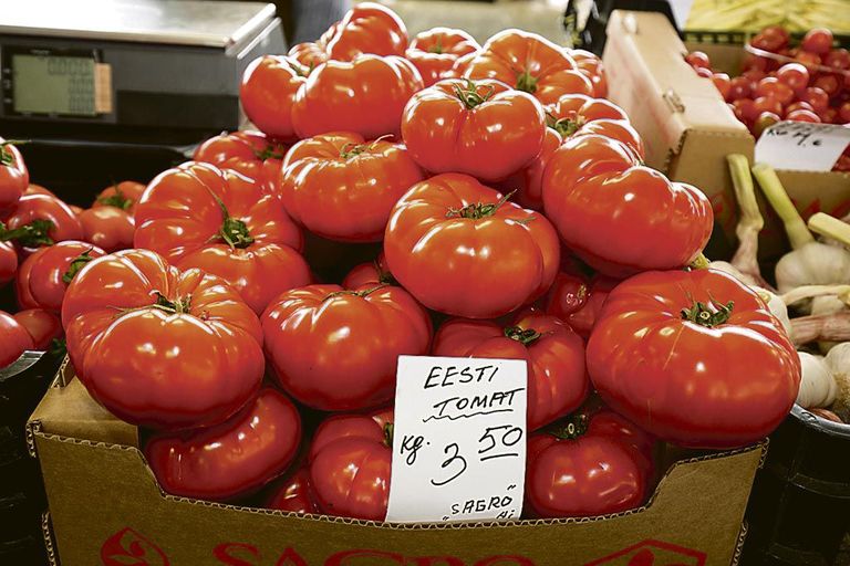 Kurgid-tomatid on praegu turulettidel peamine kodumaine kaup.