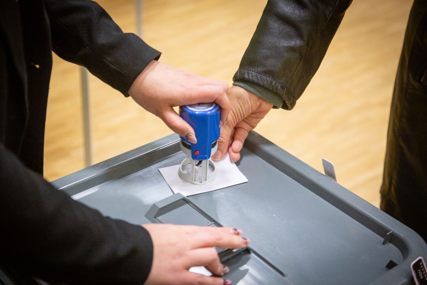 Paikuse valimisjaoskond  - 
2021. aasta kohaliku omavalitsuse volikogude valimised Pärnus - KOV 2021