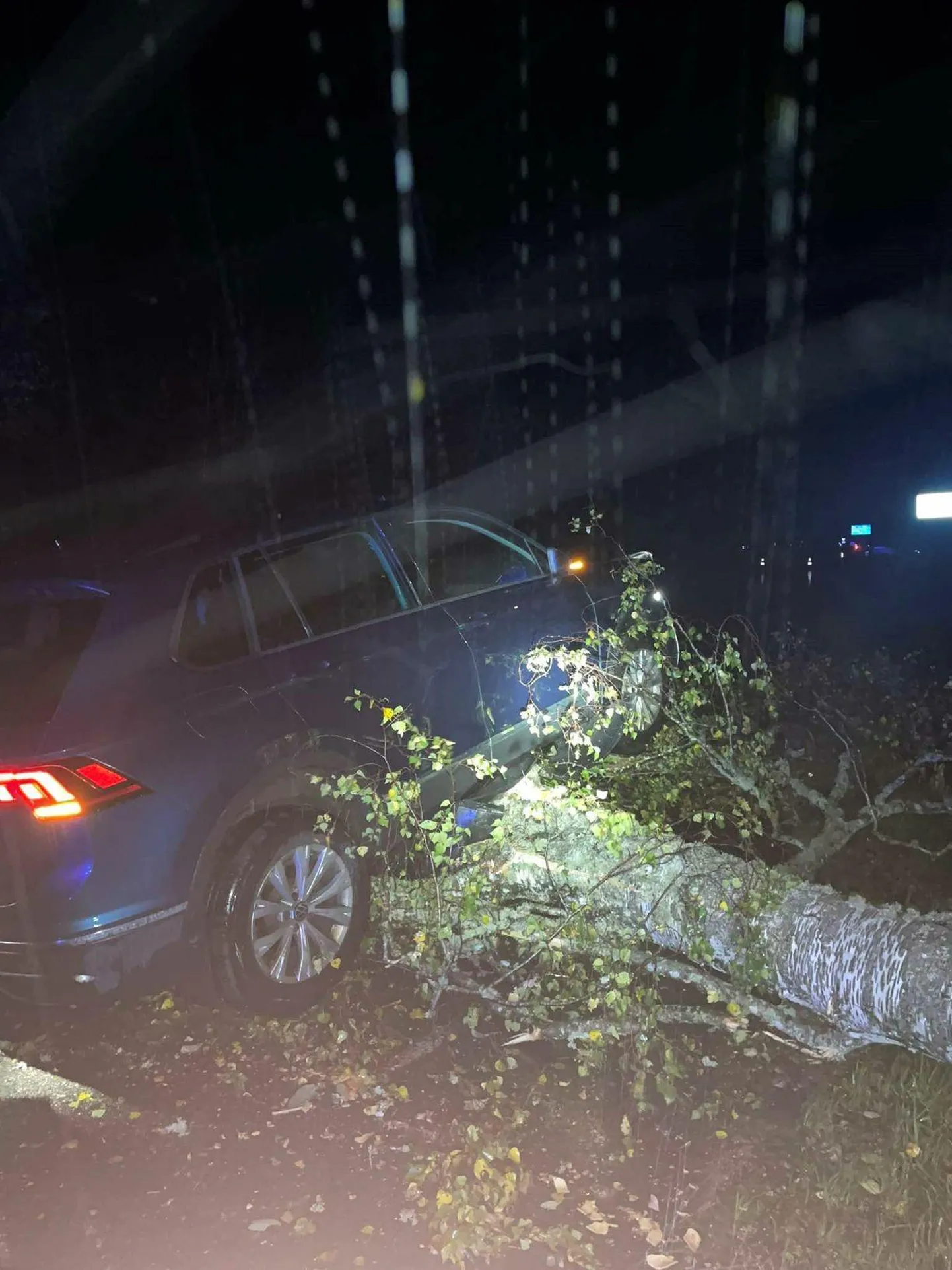 Alustes sõitis auto teele kukkunud puule otsa ega pääsenud omal jõul liikuma.