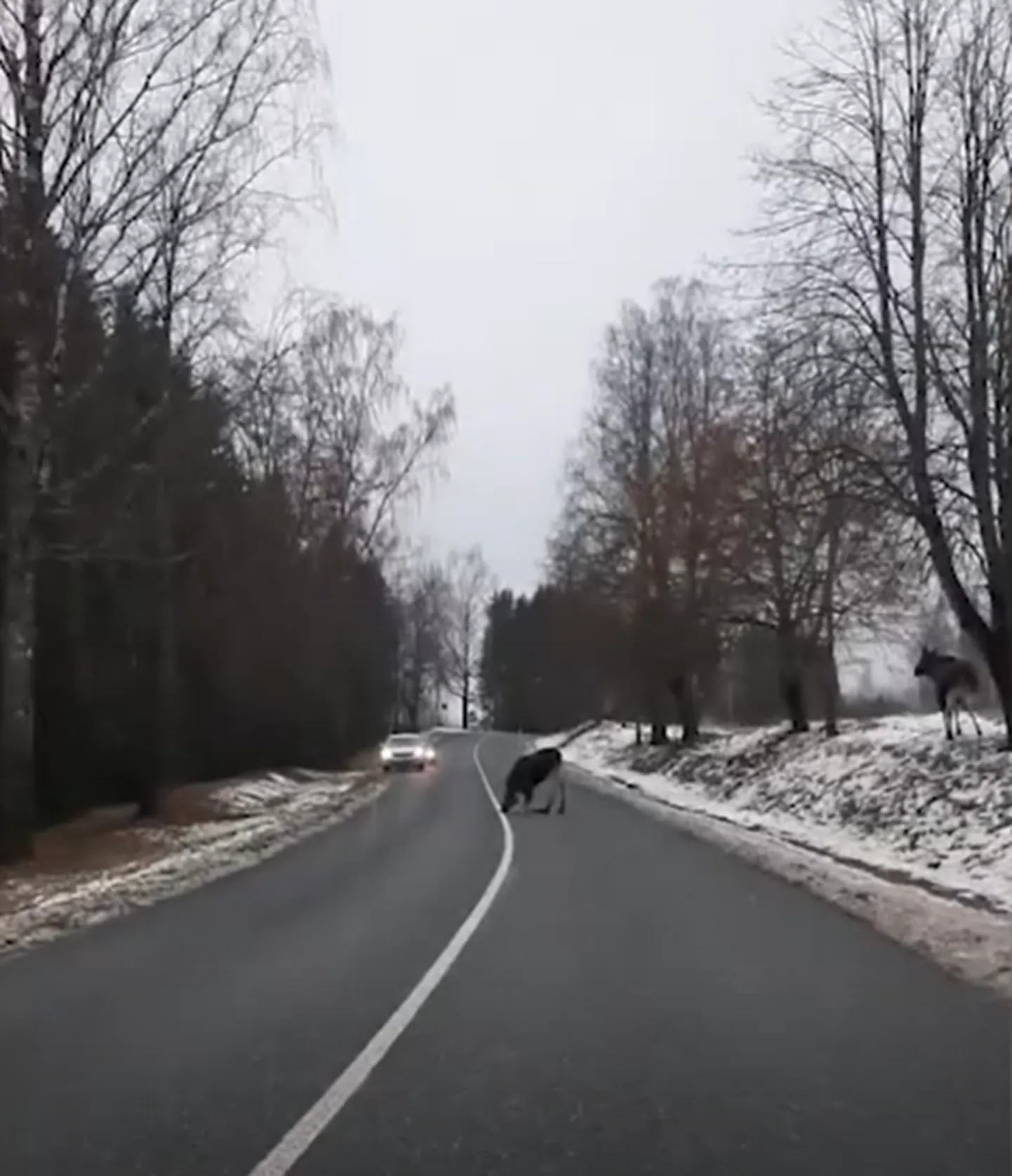 Raksta foto
