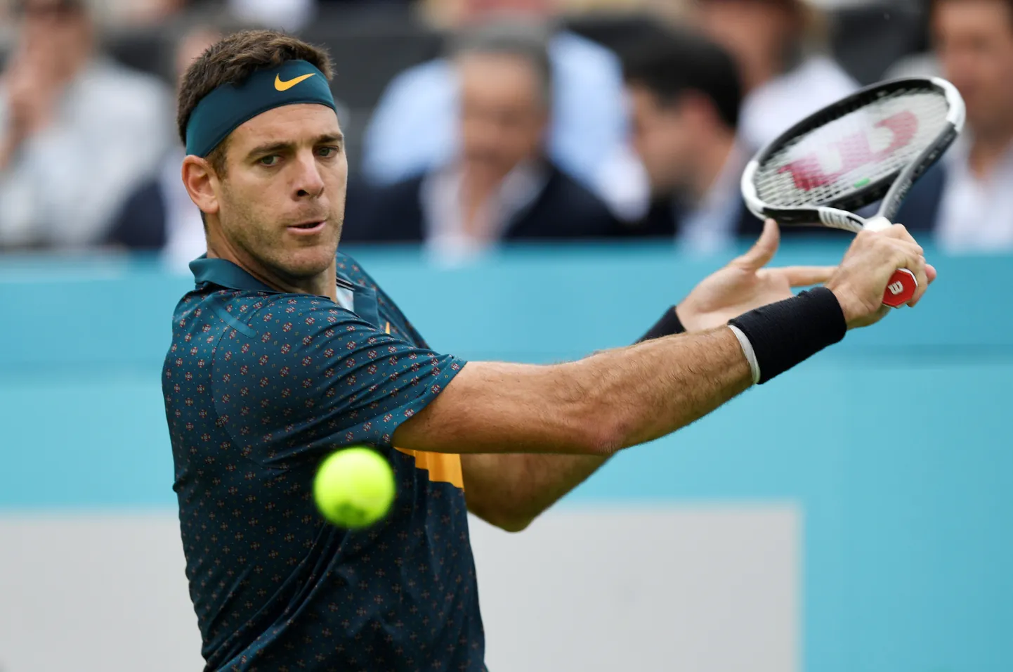 Juan Martin del Potro