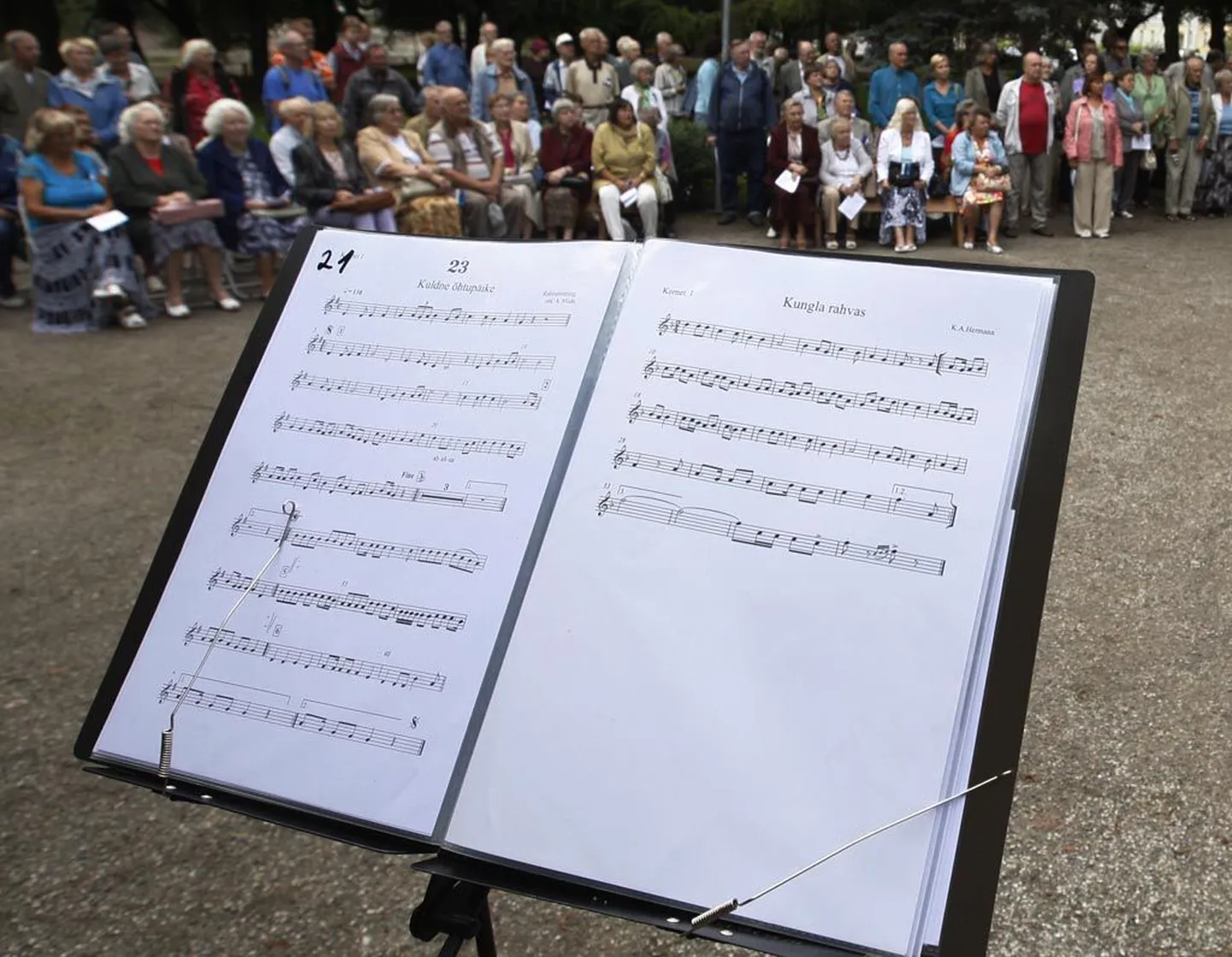 Rahvusvaheline muusikapäev täidab Pärnu kontsertidega.