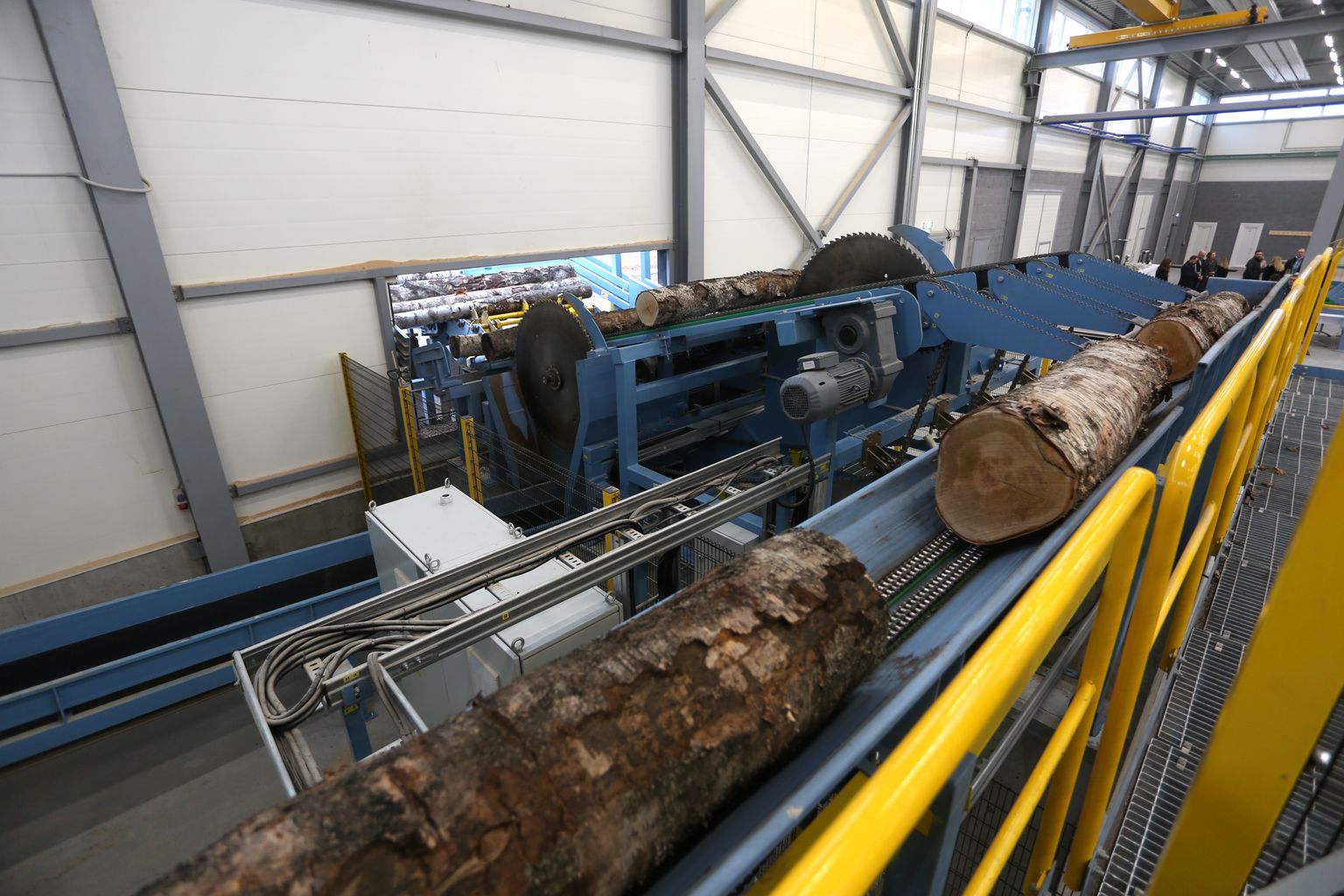 Jaunatklātā kompānijas "AmberBirch" kokapstrādes rūpnīca, kurā tiks ražots augstas kvalitātes tehniskais finieris, Krustpils pagastā, agrākā armijas lidlauka teritorijā.