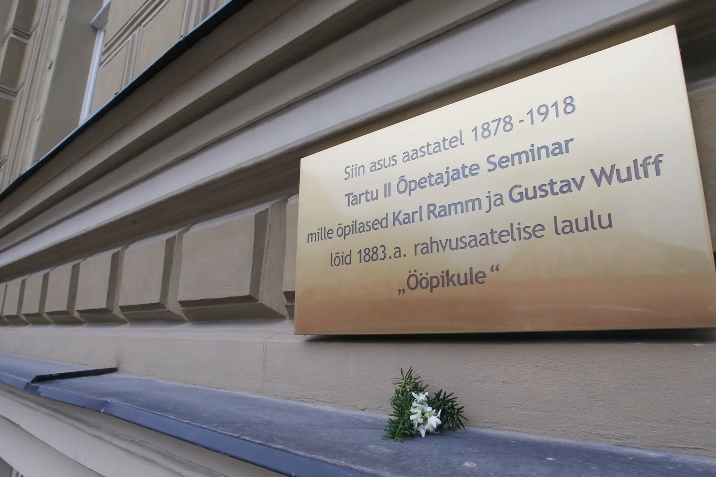 Gustav Wulff-Õis on koos «Õrna ööbiku» viisi autori Karl Rammiga õppinud Tartus, mida meenutab märtsi lõpul avatud mälestustahvel Lai 28 maja seinal.