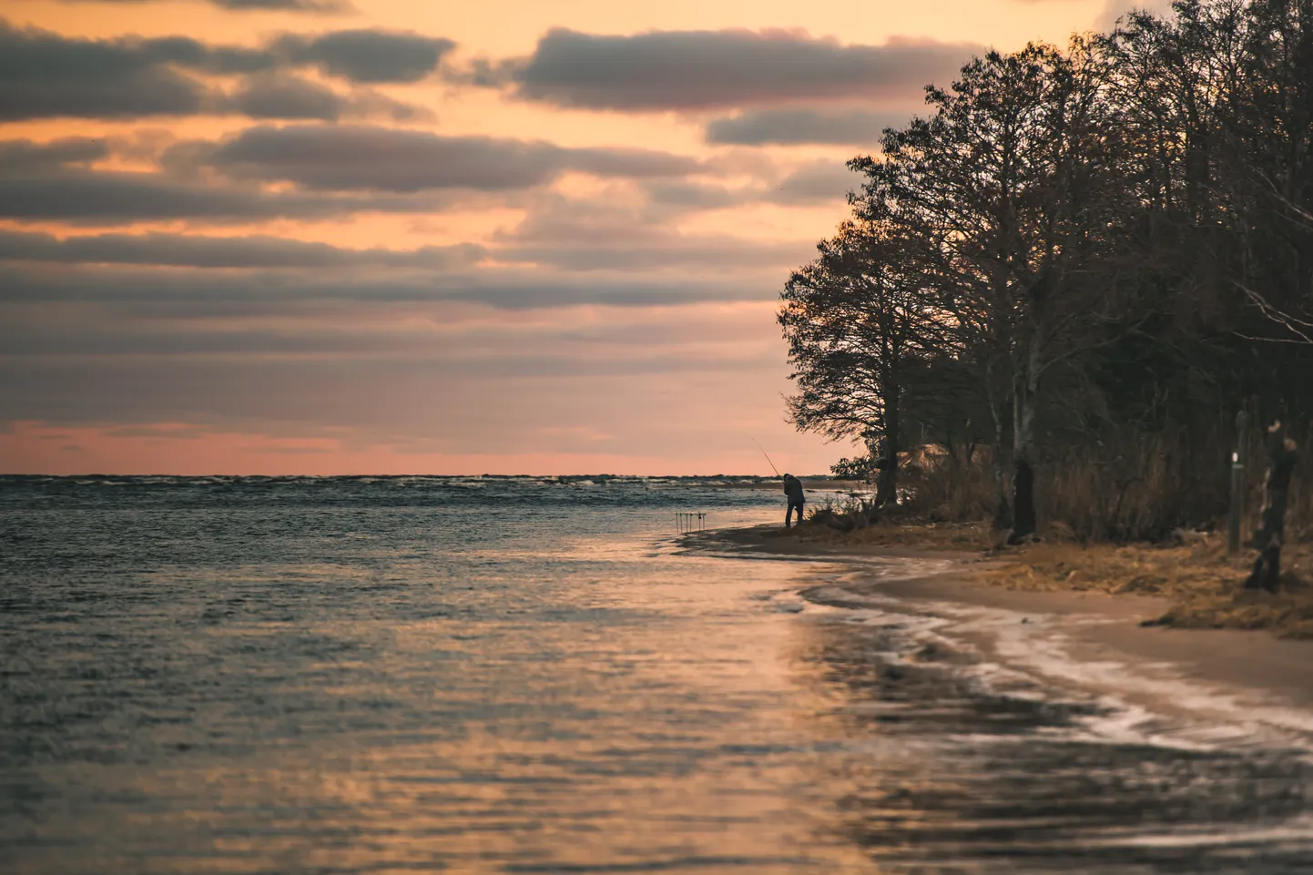 Foto: Saulains rīts Rītabuļļos