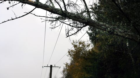 Elektrilevi on tormi käigus voolu taastanud 11 500 majapidamisele