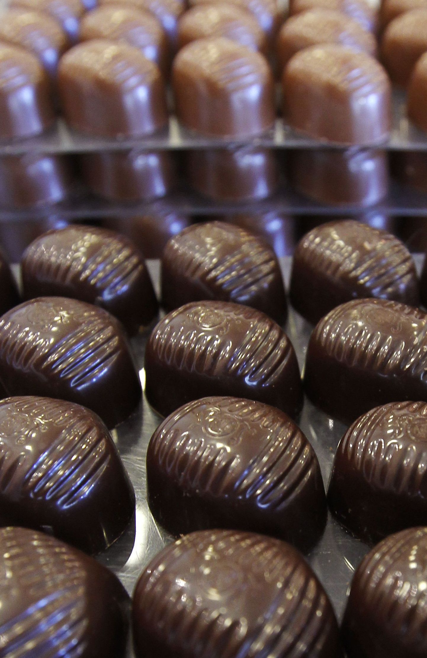 Kakaoubade puudus võib tekitada šokolaadipõua