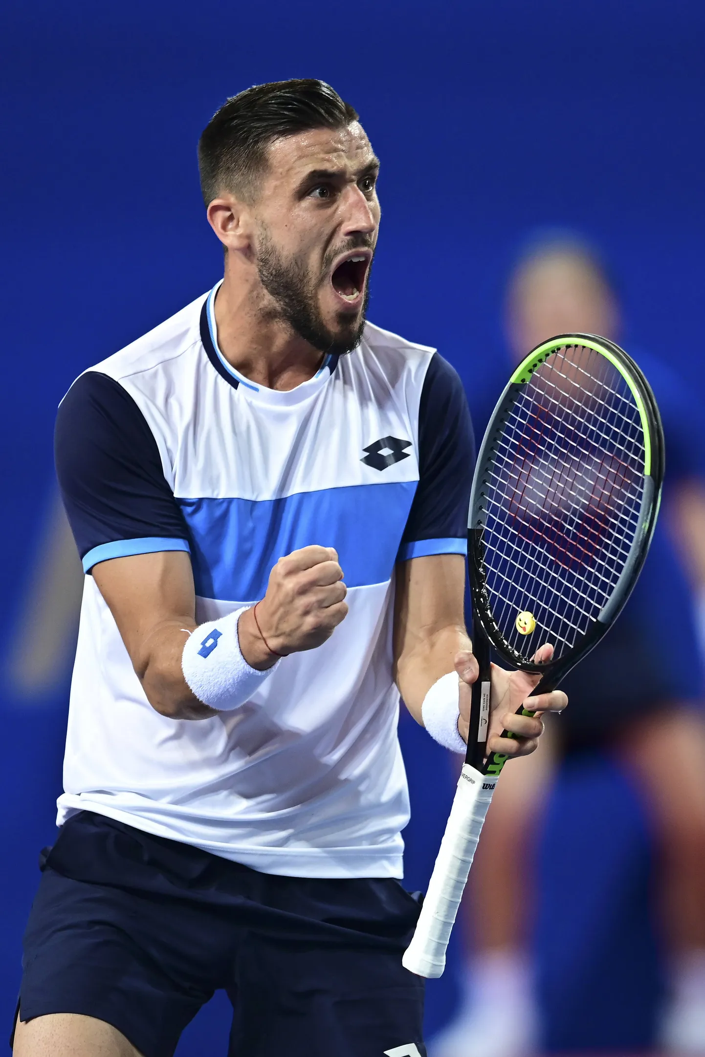 Damir Džumhur.