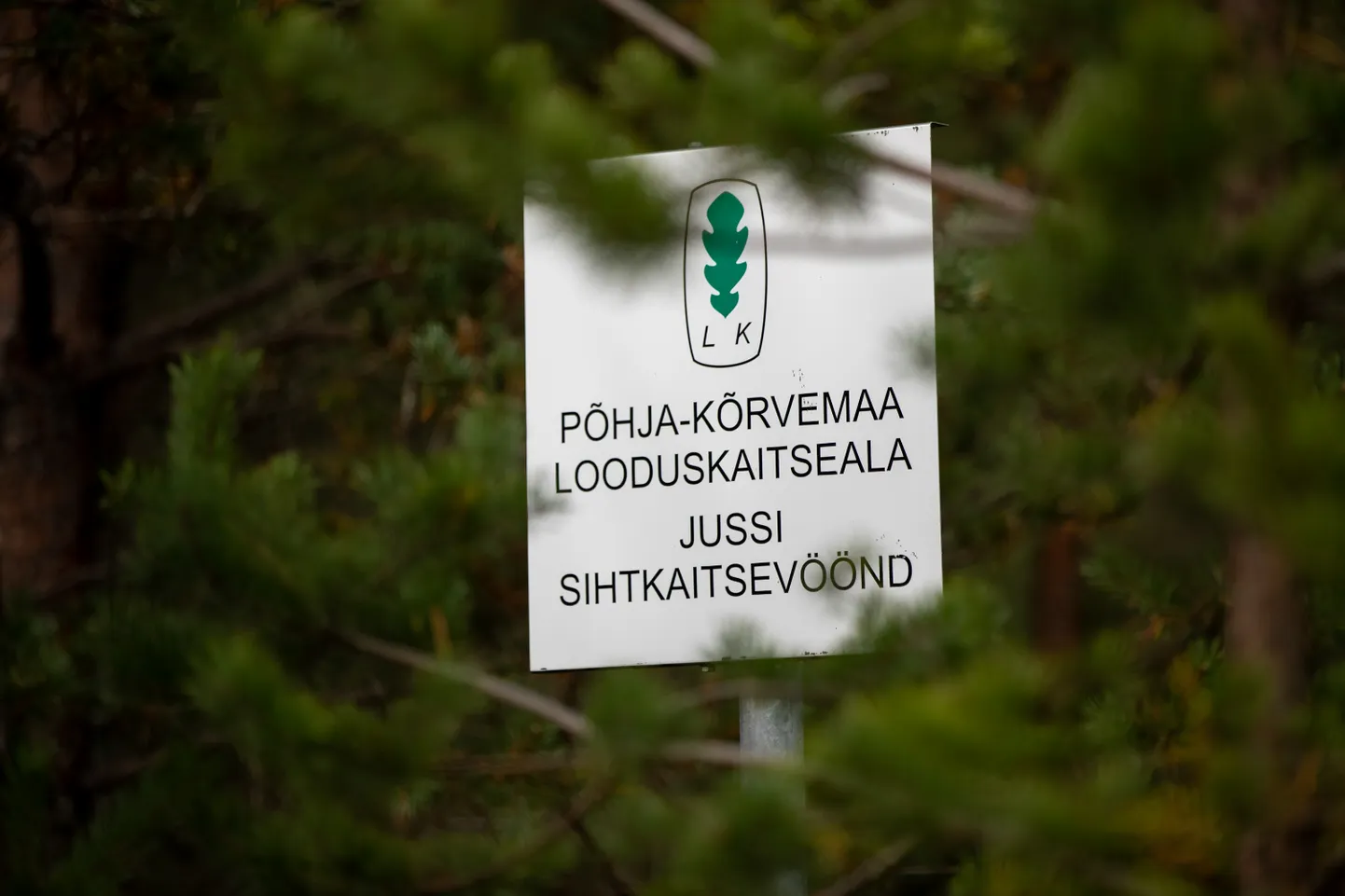 Harjumaal, Põhja-Kõrvemaal asuv Jussi loodusrada.