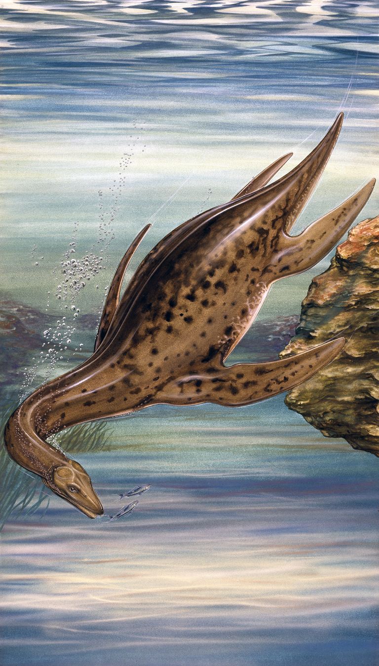 Plesiosaurused elasid juuraajastul, umbes 180 miljonit aastat tagasi