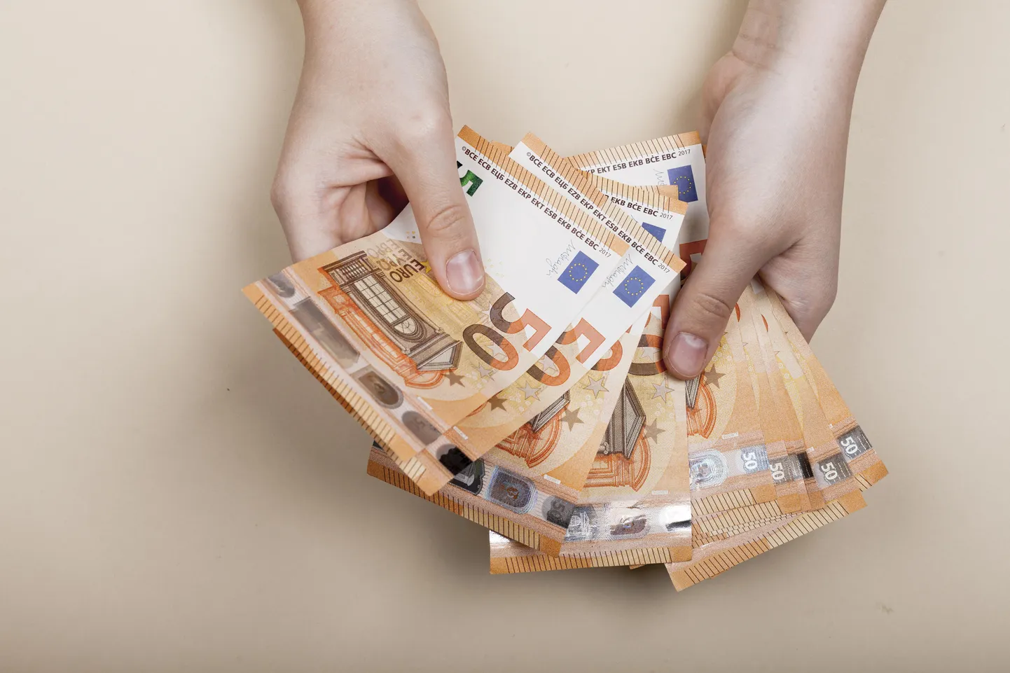 Programmist on eraisikutel võimalik toetust saada kuni 6500 eurot majapidamise kohta.