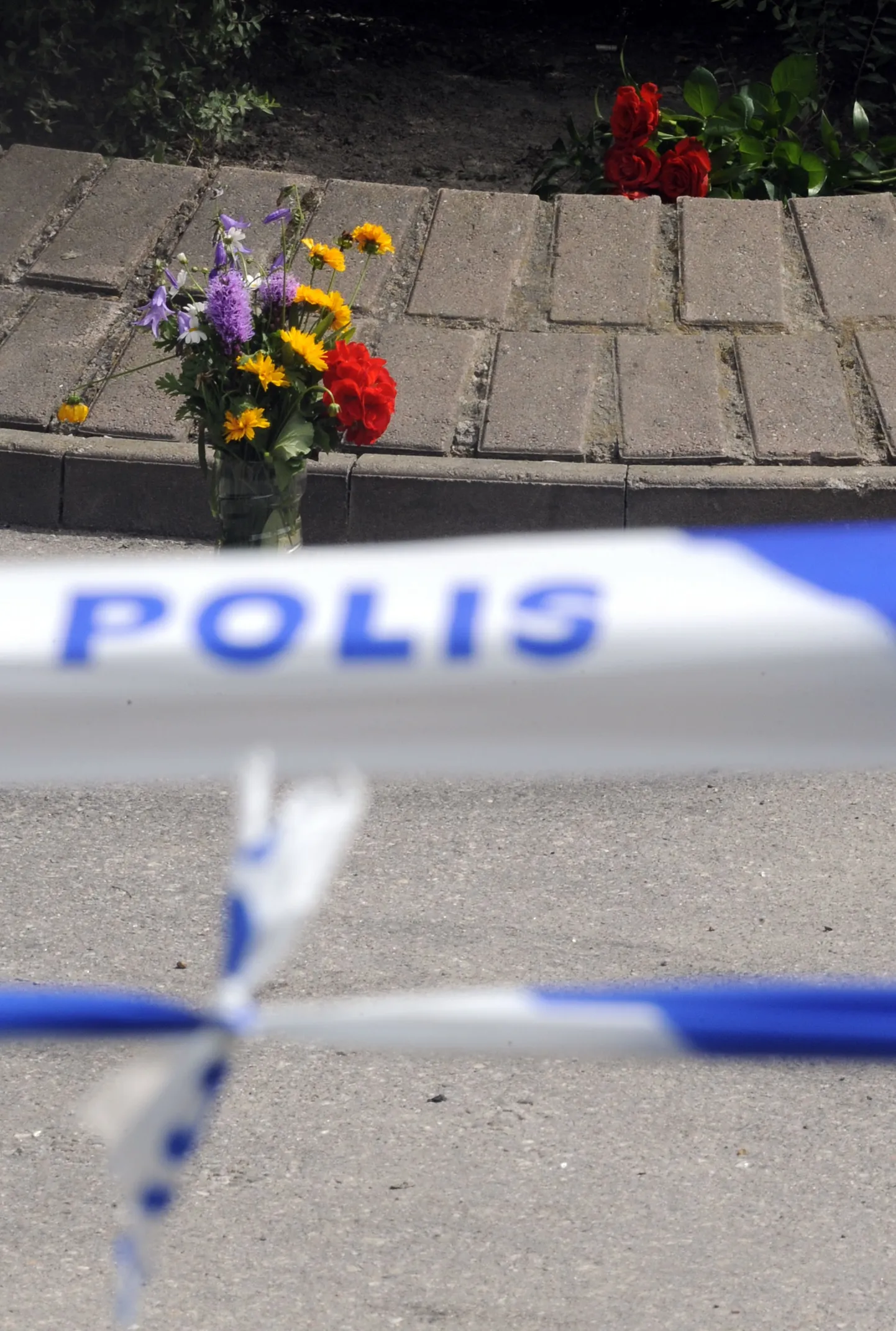 Rootsi politseilint