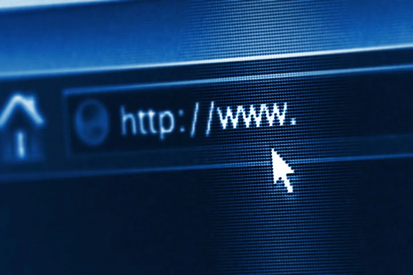 Kahtlustatavad kuulusid lastepornojõuku, kes levitas materjale internetis.
