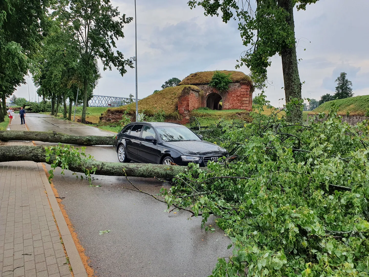 Vētras laikā izgāzti un nolauzti koki Daugavpilī.