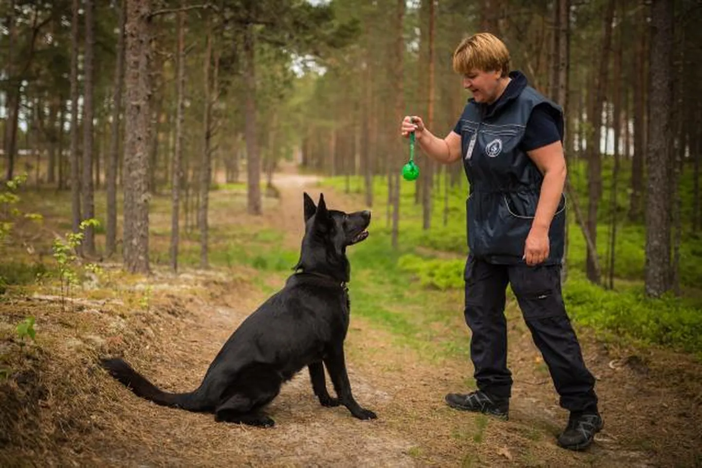 Jõulumäe tervisespordikeskuses võistlevad patrullkoerad. Arhiivifoto.