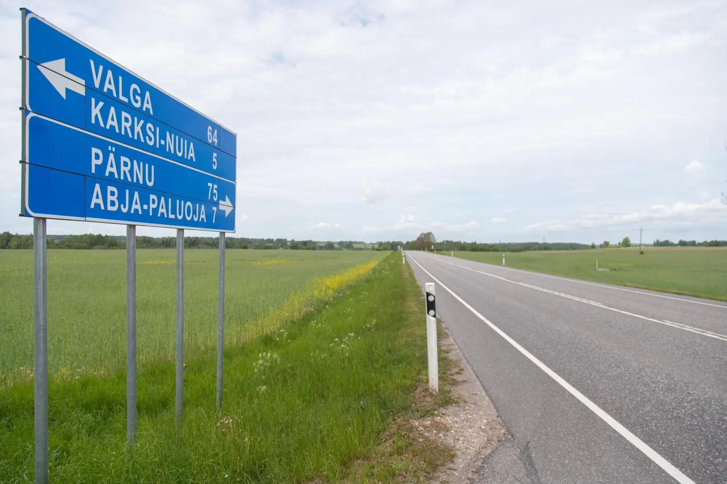 Mulgi vald kirjutas oma teehoiukavva lisana ettepaneku viie kergliiklustee planeerimiseks, kui peaks juhtuma, et riik näeb oma teede kõrval nende järele vajadust.