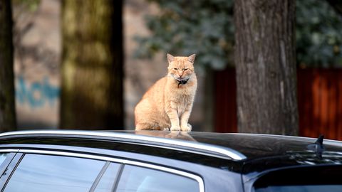 Piektdienas pēcpusdienā jārēķinās ar palēninātu satiksmi vairākos ceļa posmos
